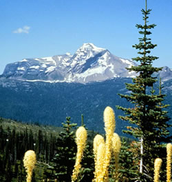 Heaven's Peak in Glacier National Park (Photo courtesy of Glacier National Park)