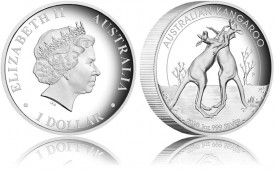 2010 Kangaroo Silver High Relief Coin